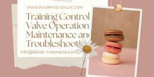 Training Control Valve Operation Maintenance and Troubleshooting