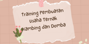 Training Pembuatan Usaha Ternak Kambing dan Domba